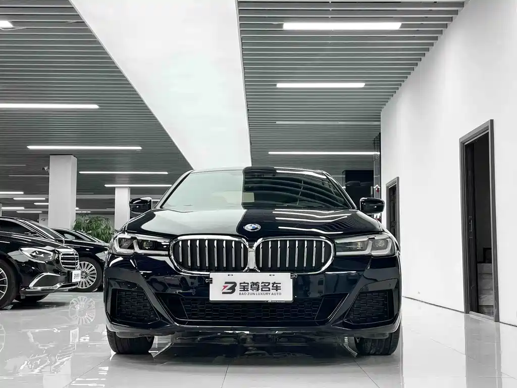 BMW 5 Series — миниатюра 2