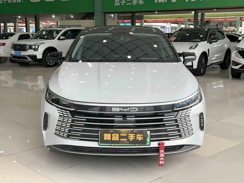 BYD Destroyer 05 — миниатюра 2