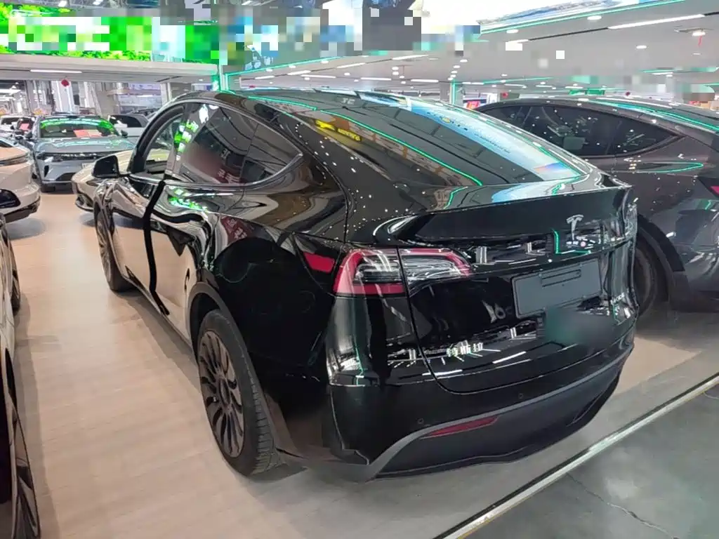 Tesla Model Y — миниатюра 5