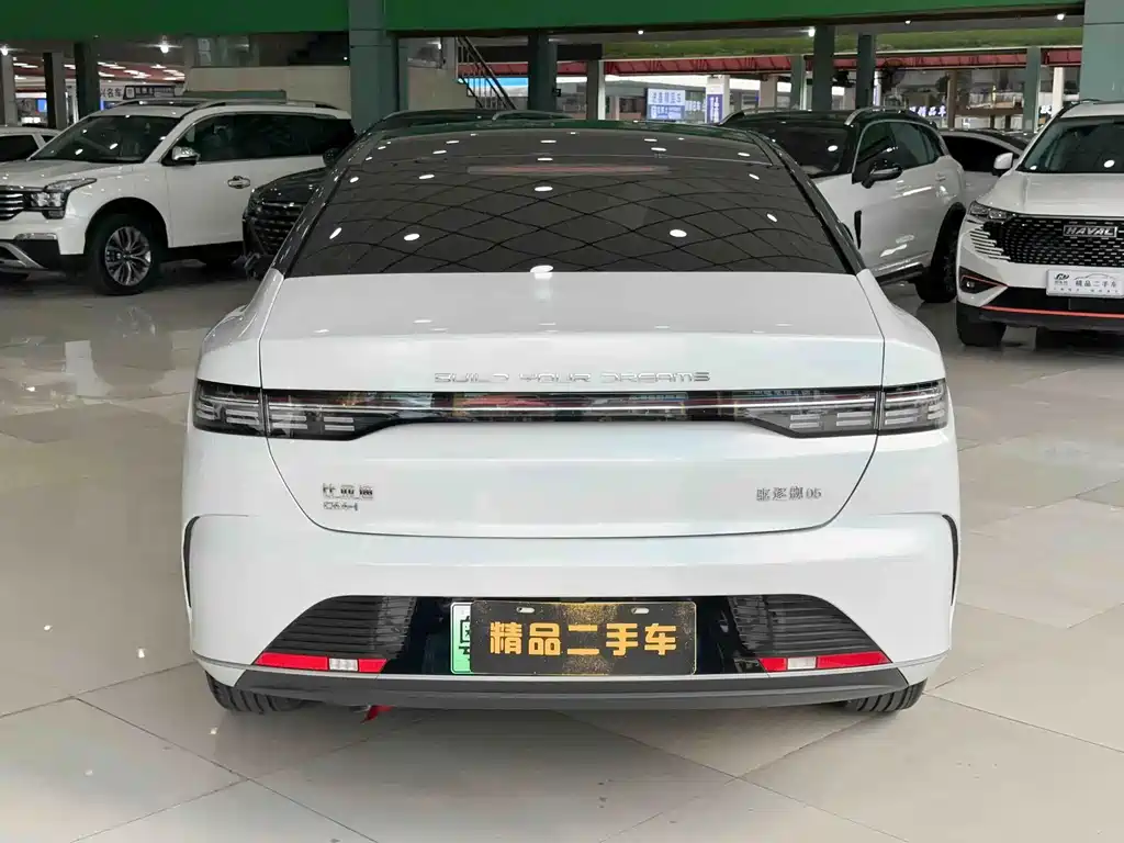 BYD Destroyer 05 — миниатюра 5