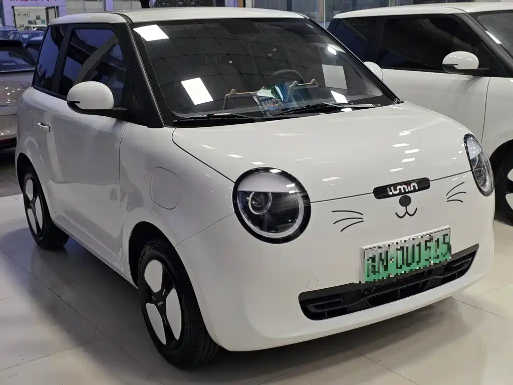 Qiyuan Lumin