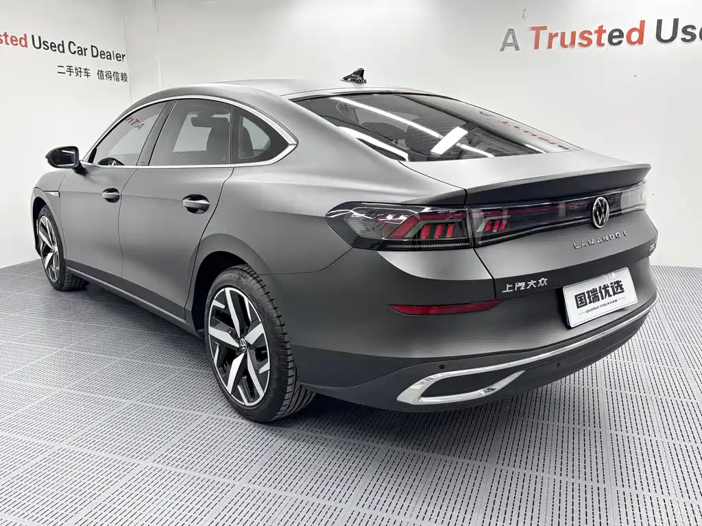 Volkswagen Lamando — миниатюра 6