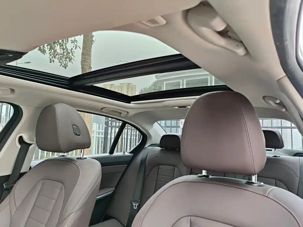 BMW 3 Series 3 2021 325Li M Sport