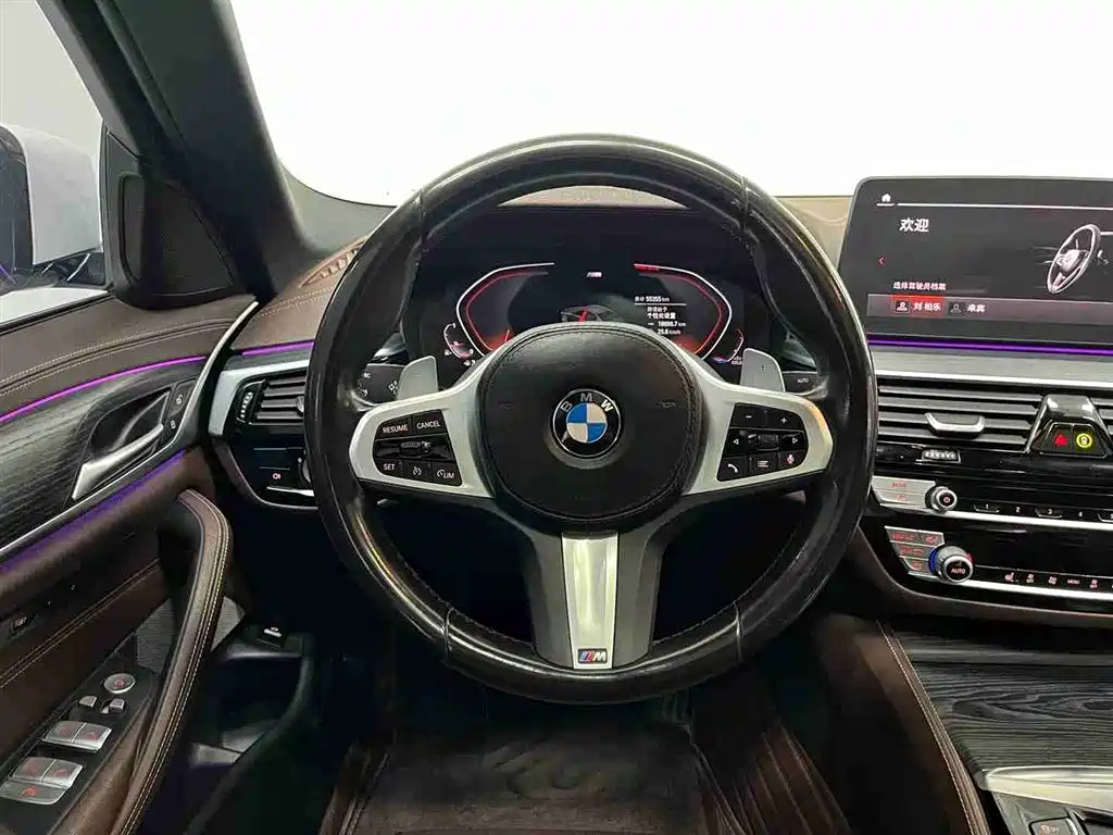 BMW 5 Series 5 2022 530Li xDrive M Sport
