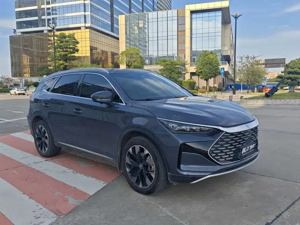 BYD Tang New Energy — миниатюра 3