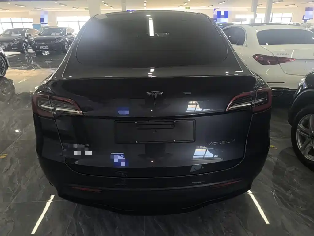 Tesla Model Y — миниатюра 4