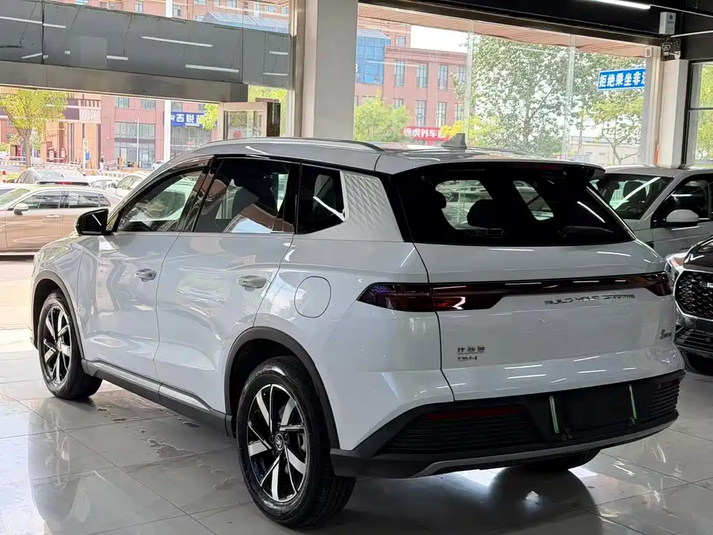 BYD Pro New Energy — миниатюра 6