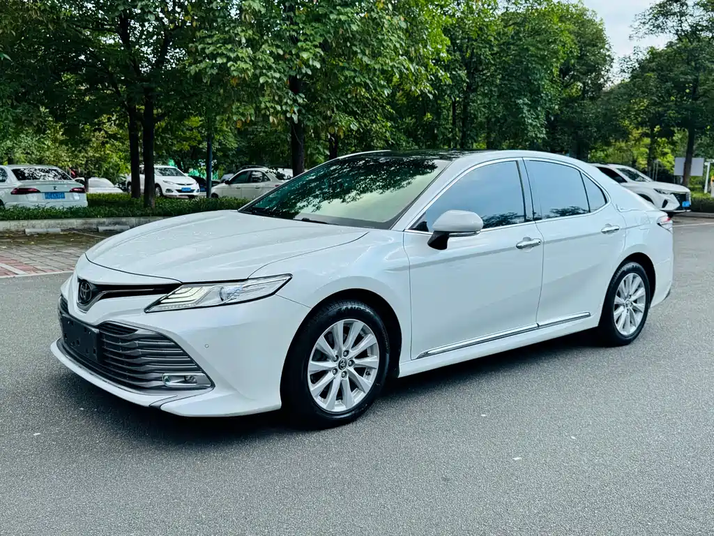 Toyota Camry 2019 2.0G Luxury VI