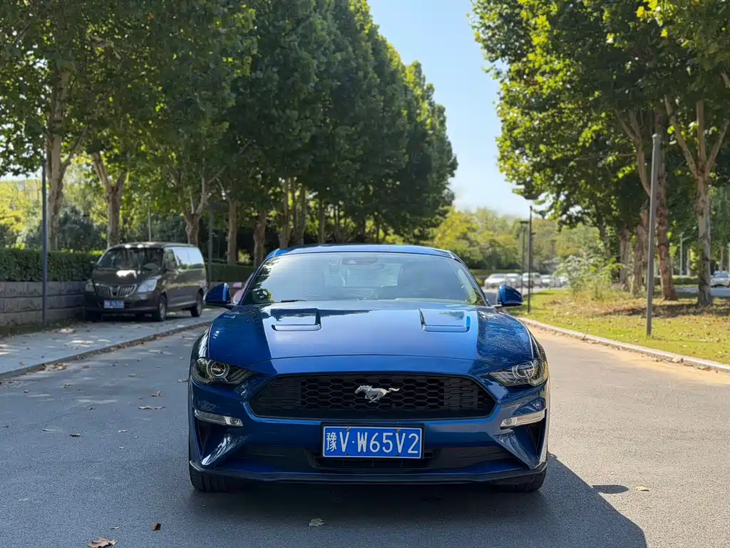 Ford Mustang — миниатюра 3