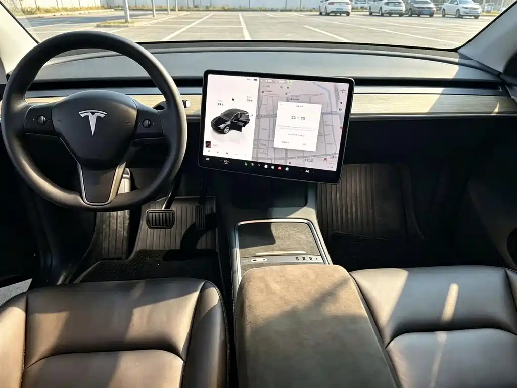 Tesla Model Y — миниатюра 6