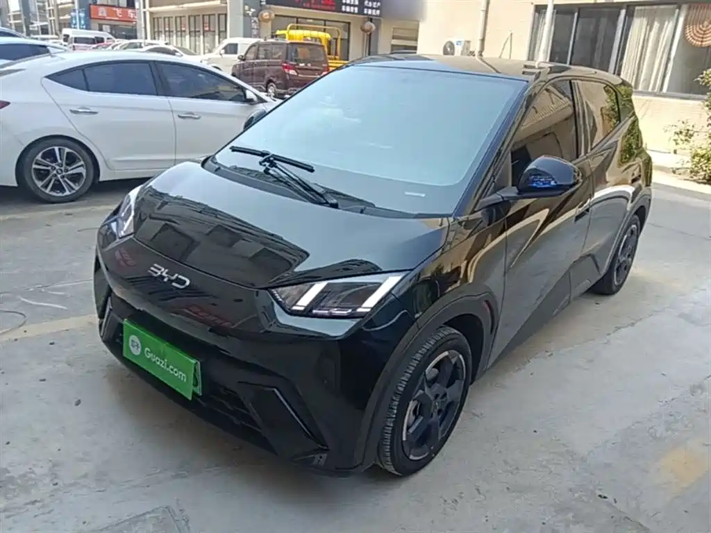 Byd Seagull 2024