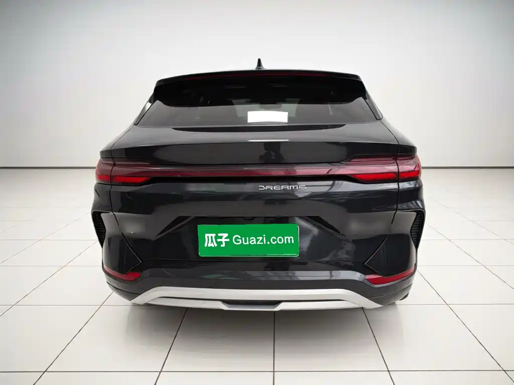 BYD PLUS New Energy — миниатюра 5