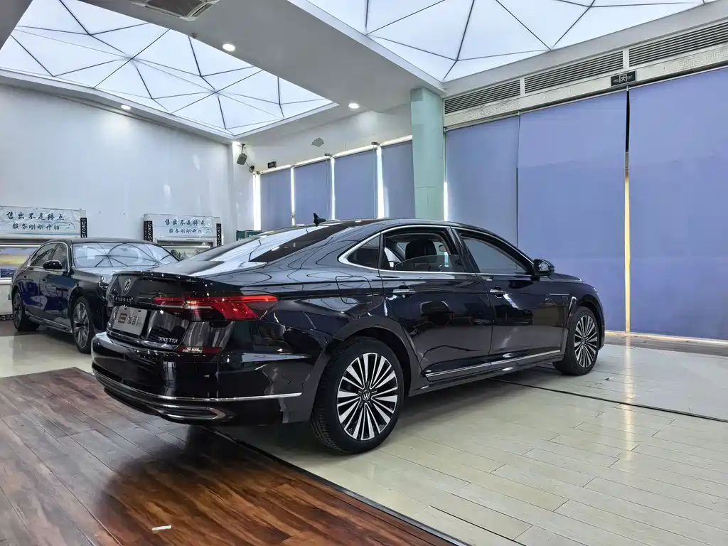 Volkswagen Passat — миниатюра 16