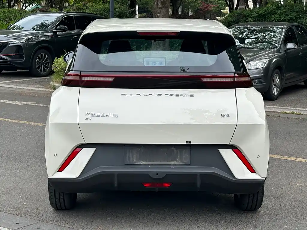 BYD Seagull 2023 Flying
