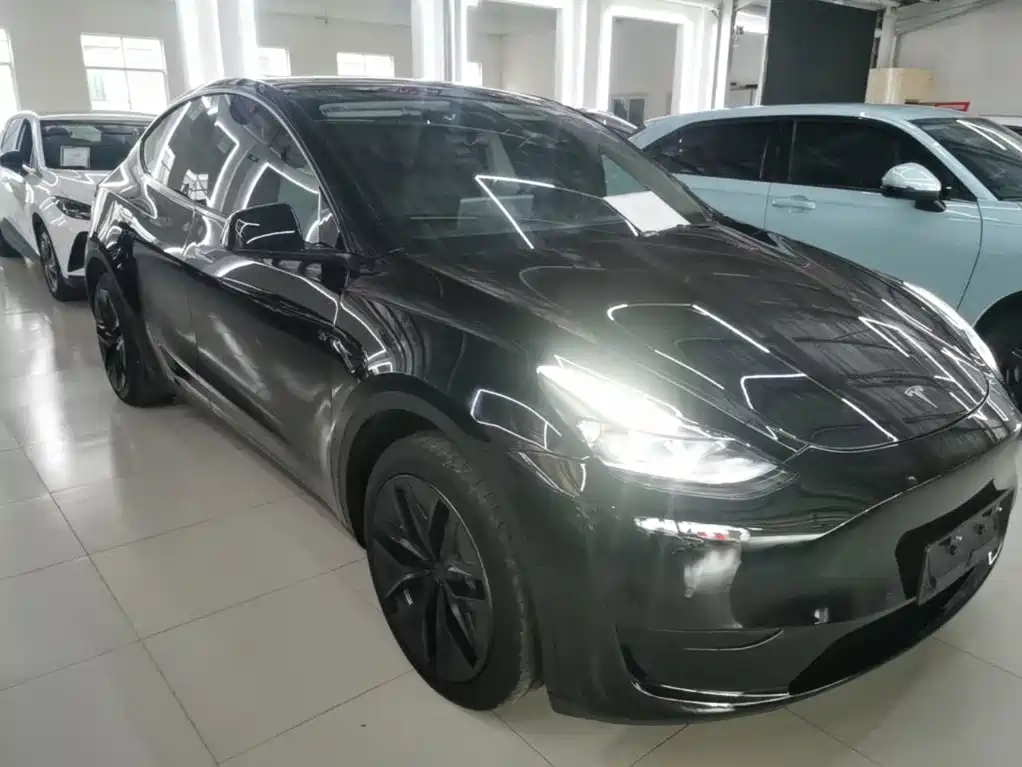 Tesla Model Y — миниатюра 4