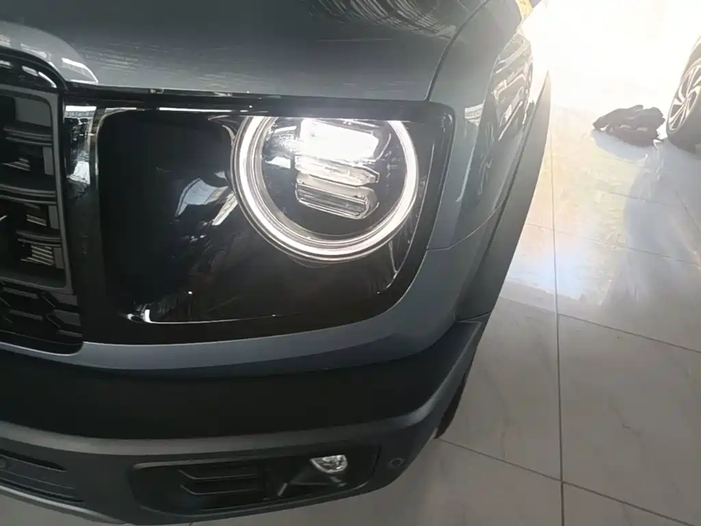 Haval Big Dog — миниатюра 24
