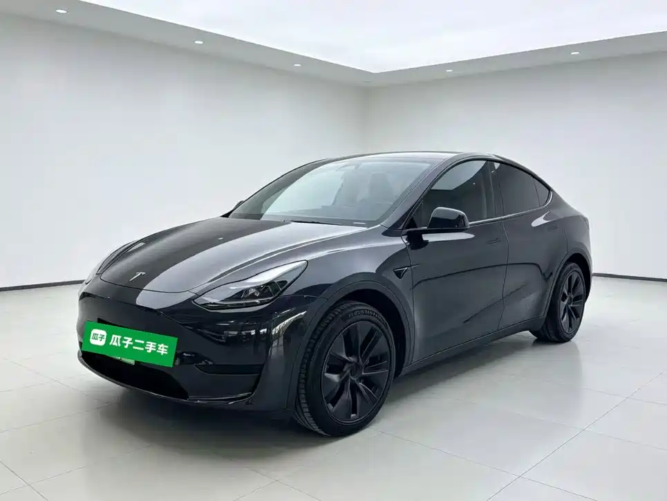 Tesla Model Y — миниатюра 2