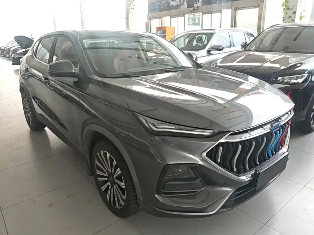 Oshan Oushang X5 — миниатюра 4