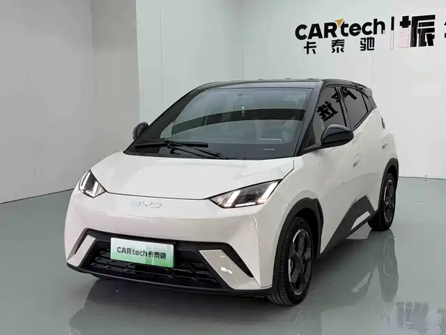 2024 BYD Seagull