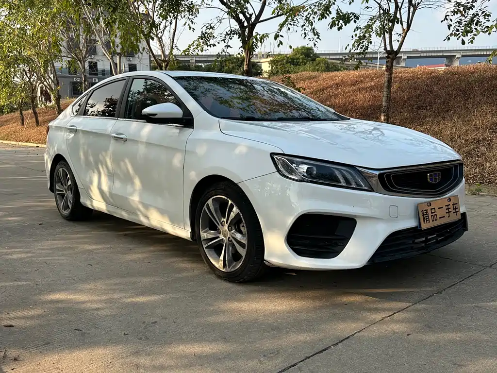 GEELY AUTOMOBILE BINRUI