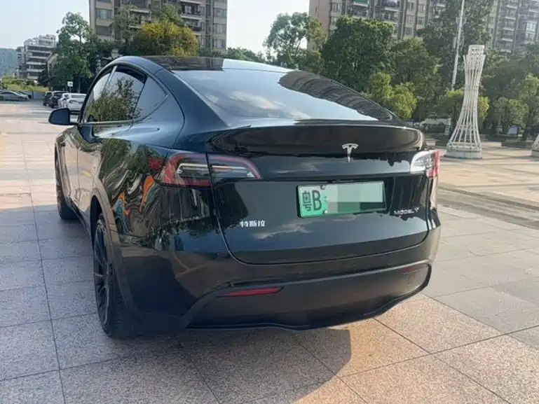 Tesla Model Y — миниатюра 6