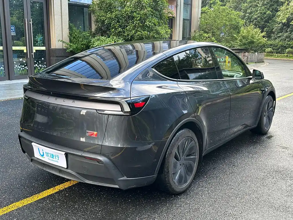 Tesla Model Y — миниатюра 4