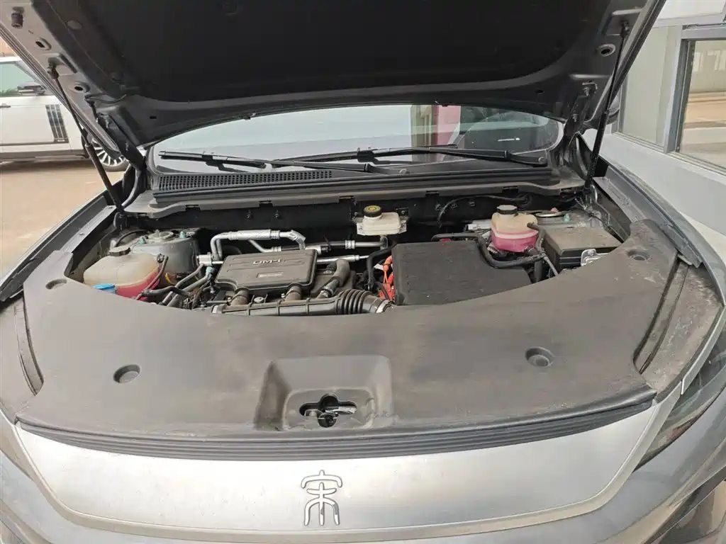 BYD SONGJIANG NEW ENERGY