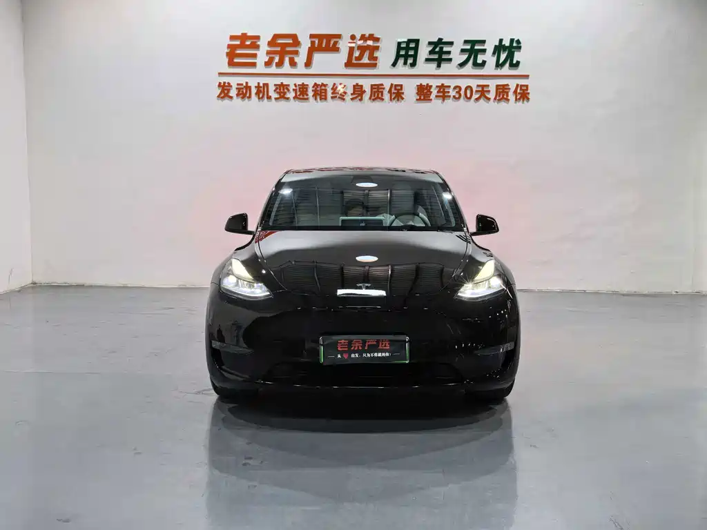 Tesla Model Y — миниатюра 2