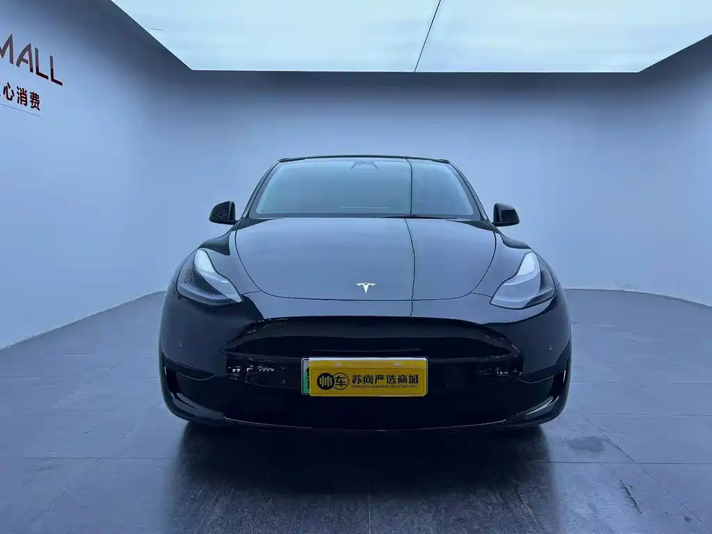 Tesla Model Y — миниатюра 2