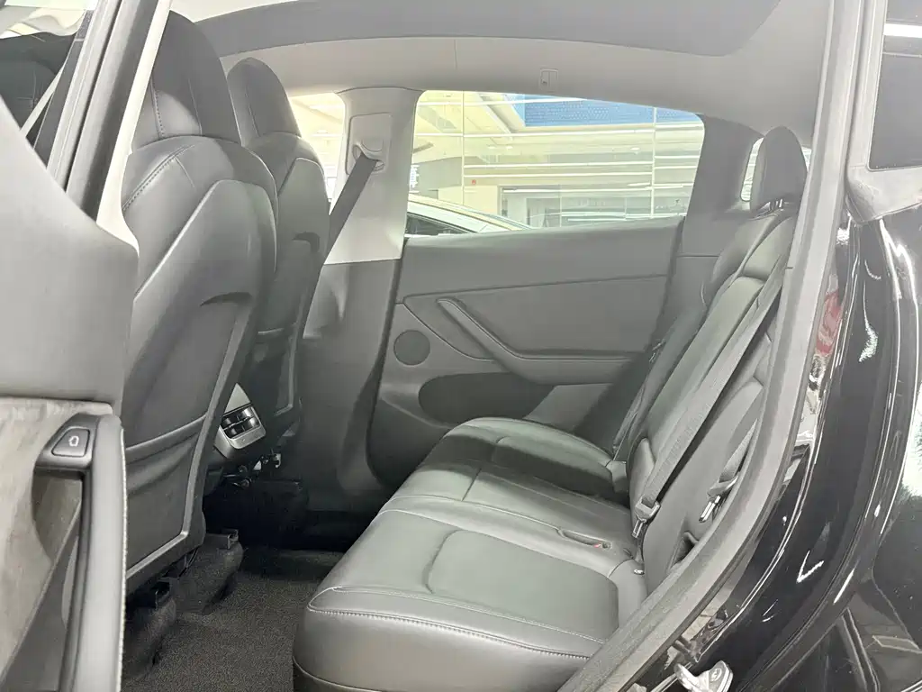 Tesla Model Y — миниатюра 7