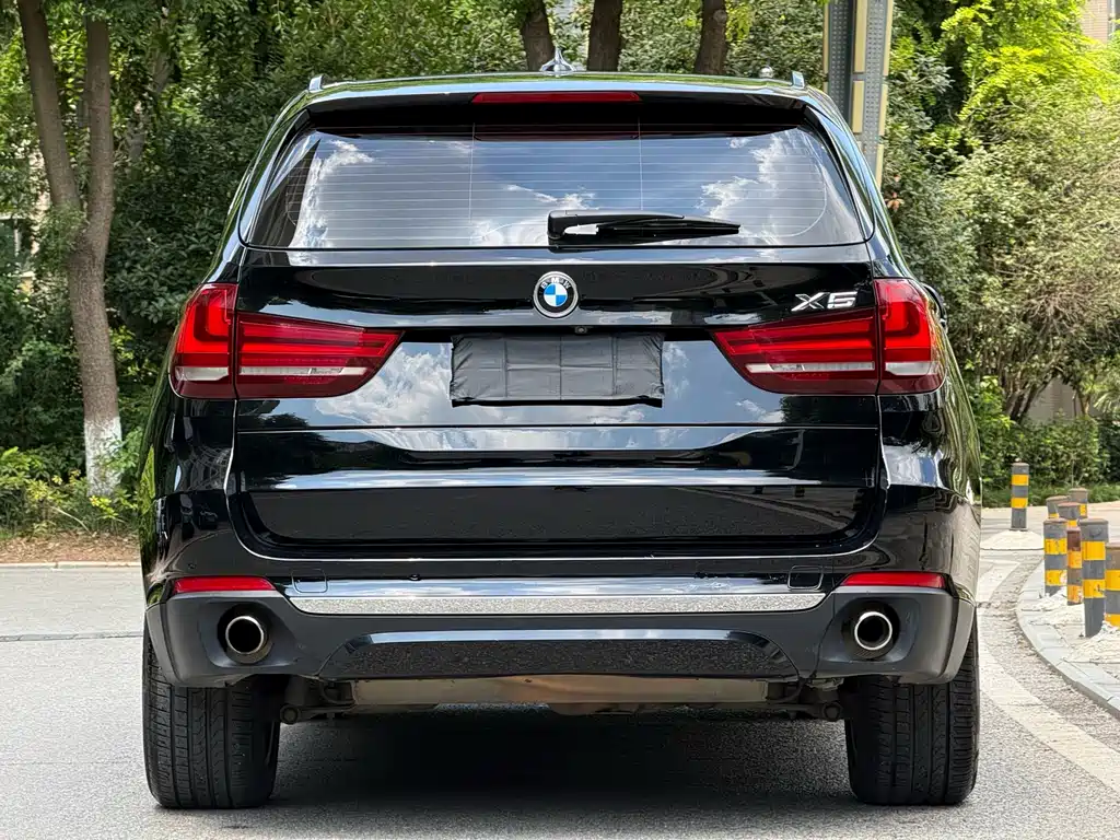 BMW X5 (Import) — миниатюра 6
