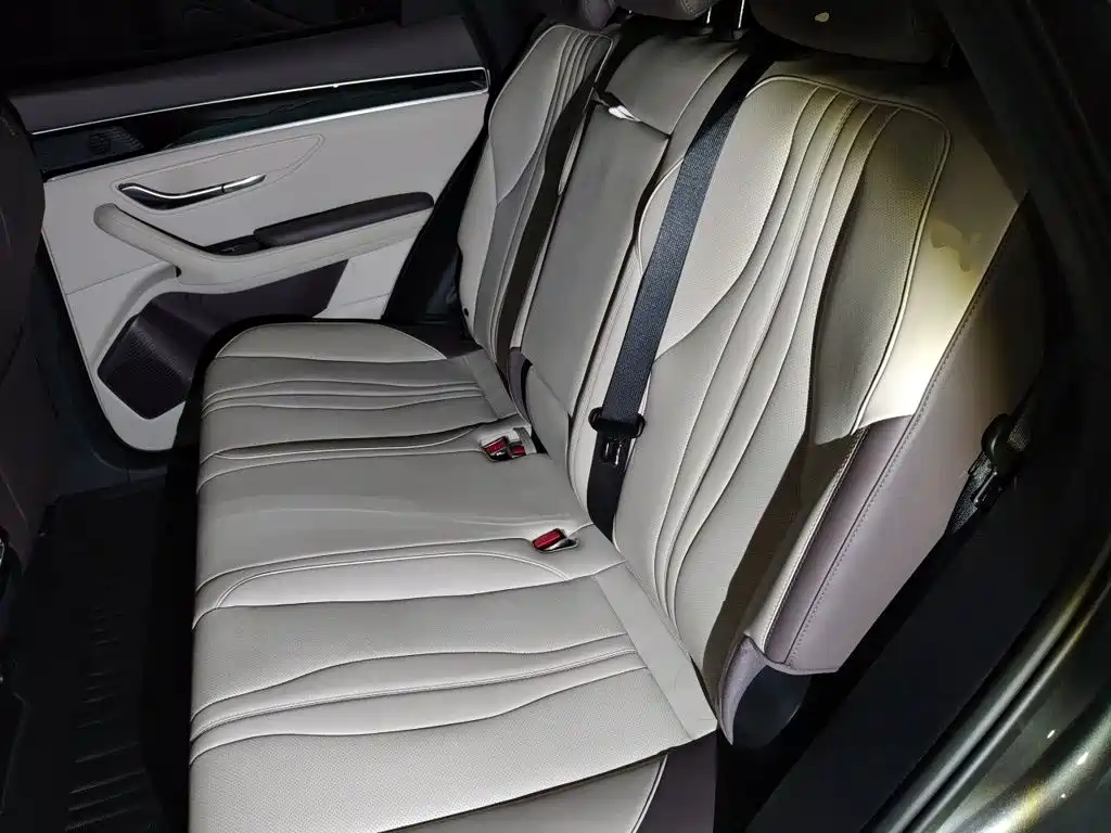 BYD PLUS New Energy — миниатюра 18