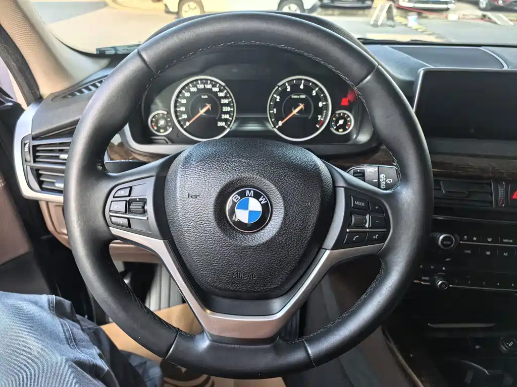 BMW X5 (Import) — миниатюра 8