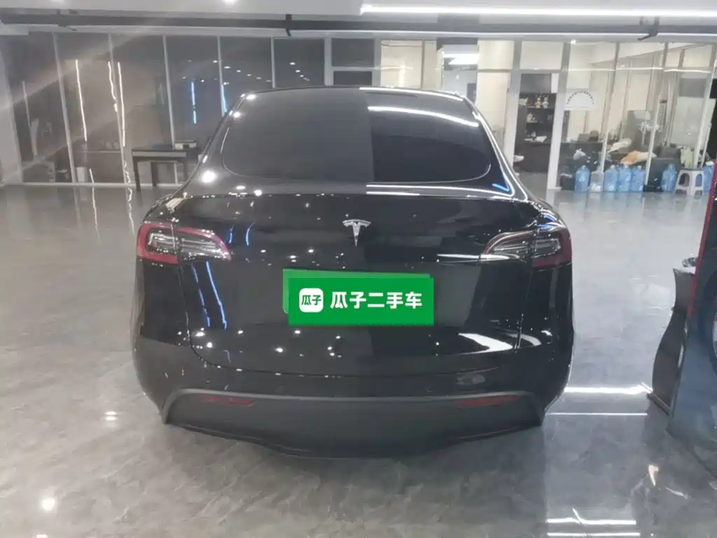 Tesla Model Y — миниатюра 6