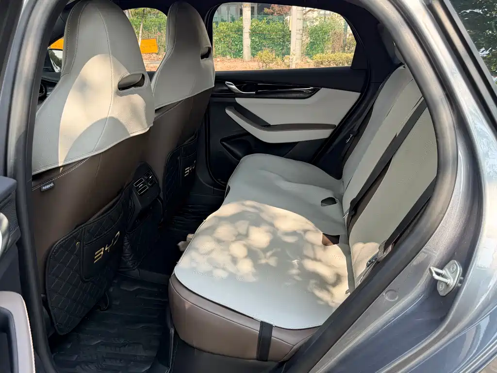 BYD Qin Plus PLUS 2024 DM-i 55KM Lead