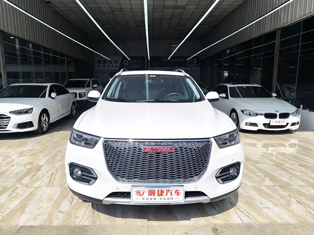 HAVAL H2S