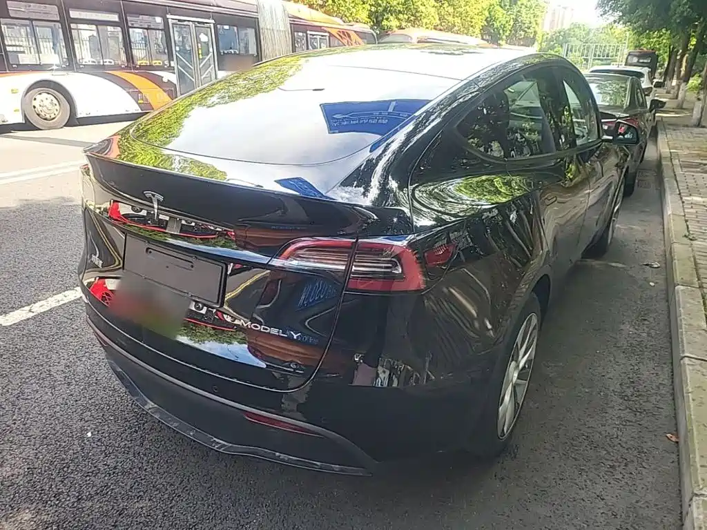 Tesla Model Y — миниатюра 7