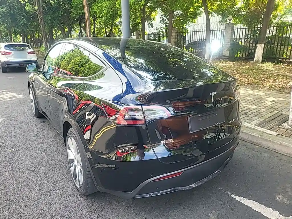 Tesla Model Y — миниатюра 5