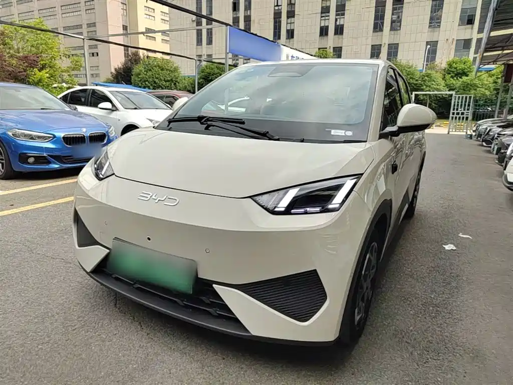Byd Seagull 2025