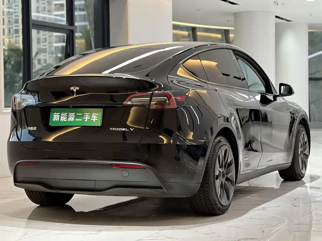 Tesla Model Y — миниатюра 8