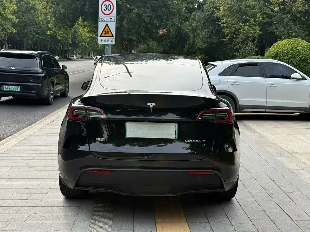 Tesla Model Y — миниатюра 7