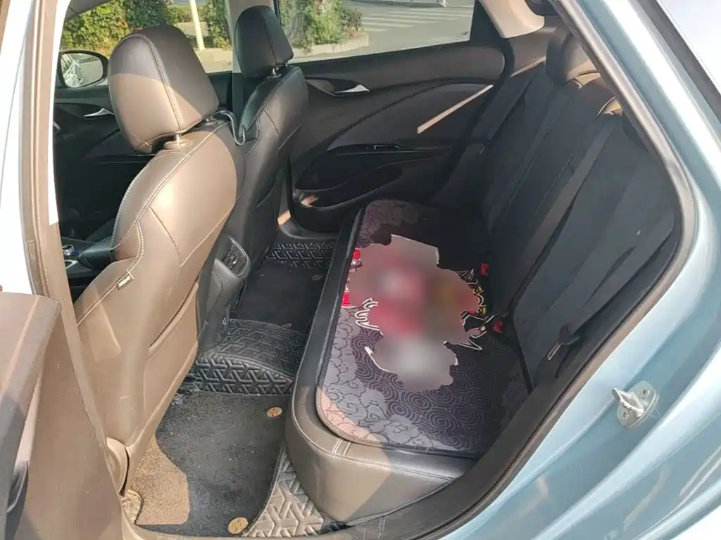 Buick Velite 6 — миниатюра 17
