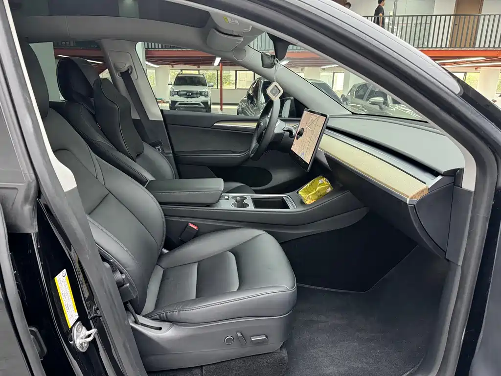 Tesla Model Y — миниатюра 10