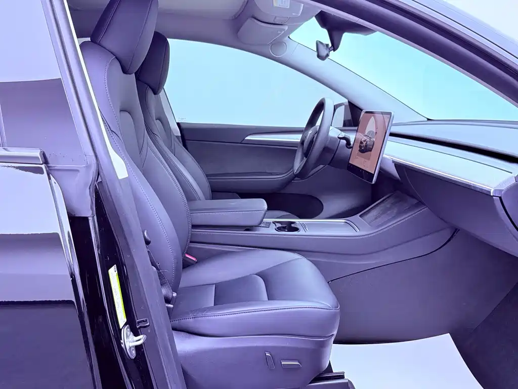 Tesla Model Y — миниатюра 19