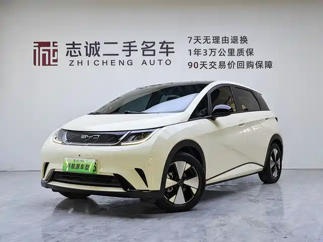 2024 BYD Dolphin