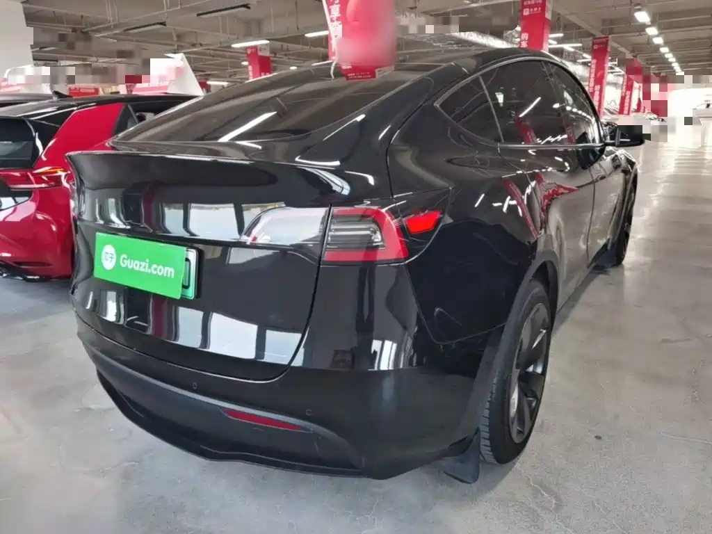 Tesla Model Y — миниатюра 7