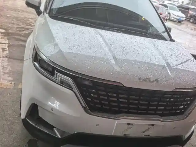 Kia Carnival — миниатюра 7