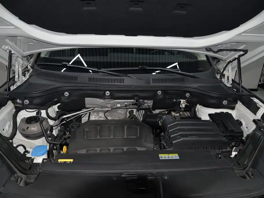Volkswagen Tavendor — миниатюра 6