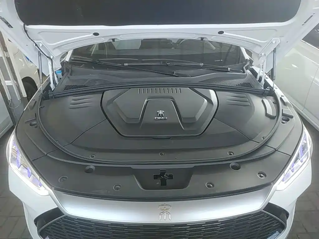 BYD PLUS New Energy — миниатюра 20
