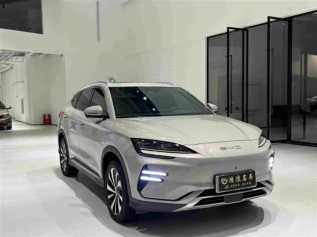 BYD PLUS New Energy — миниатюра 3